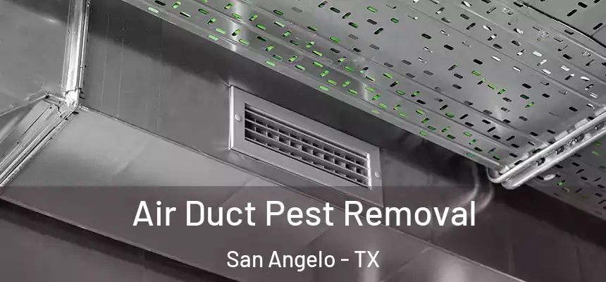 Air Duct Pest Removal San Angelo - TX