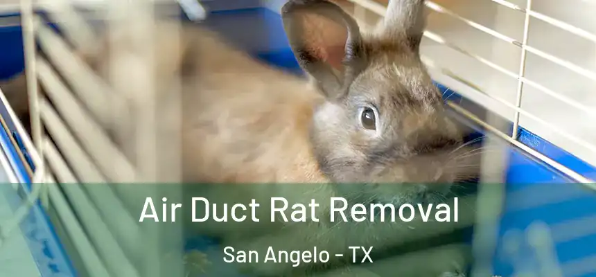  Air Duct Rat Removal San Angelo - TX