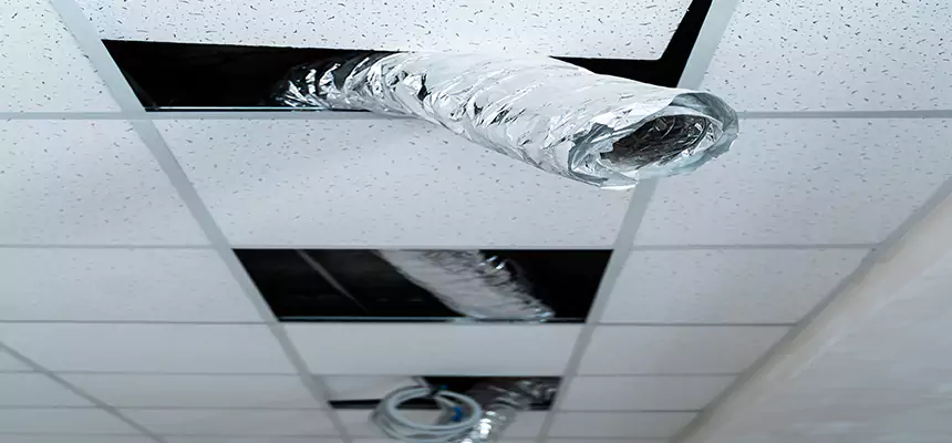 Affordable HVAC Sanitizing After Pest Removal in San Angelo