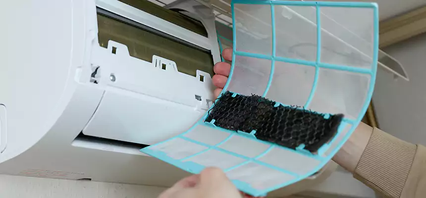 Gentle Ductwork Odor-Control Pet Dander Duct Cleaning in San Angelo, TX