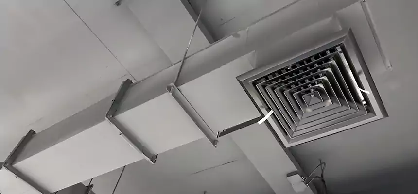 Our Rodent Droppings In Vents Services in San Angelo, TX