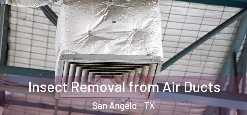 Insect Removal from Air Ducts San Angelo - TX
