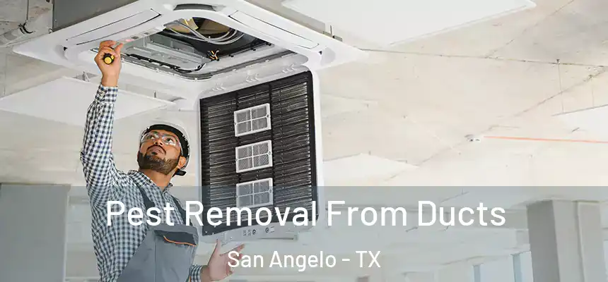  Pest Removal From Ducts San Angelo - TX