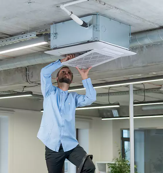 Advanced Rodent Droppings In Vents in San Angelo, TX