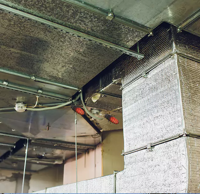 Why Homeowners & Businesses Trust Us in San Angelo, TX?