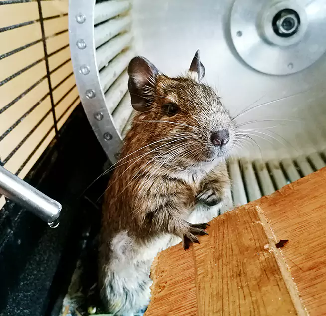 Why Homeowners & Businesses Trust Us San Angelo, TX?