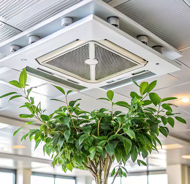 Why Homeowners & Businesses Trust Us in San Angelo, TX