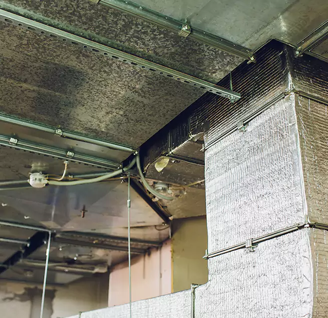 Why Homeowners & Businesses Trust Us in San Angelo, TX?